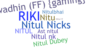 নিকনেম - Nitul