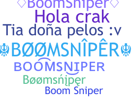 নিকনেম - BoomSniper