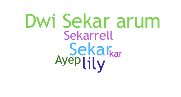 নিকনেম - Sekar