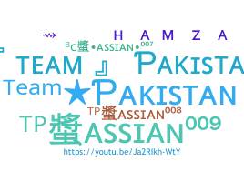 নিকনেম - TeamPakistan