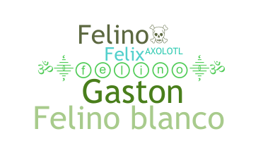 নিকনেম - Felino