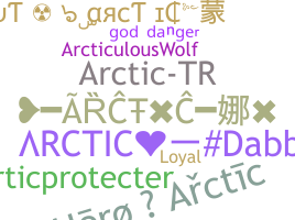 নিকনেম - Arctic