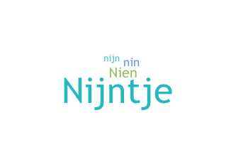 নিকনেম - Nienke