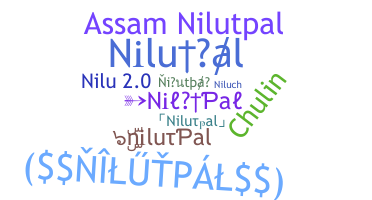 নিকনেম - nilutpal