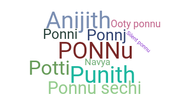 নিকনেম - Ponnu