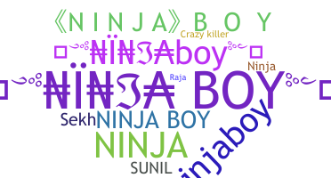 নিকনেম - NinjaBoy