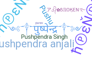 নিকনেম - Pushpendra