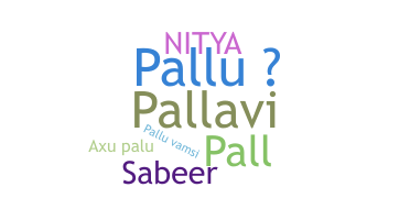 নিকনেম - Pallu