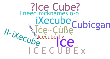 নিকনেম - icecube